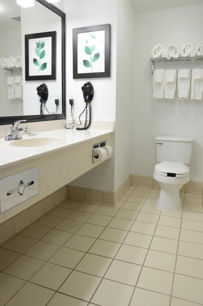 Country Inn & Suites By Radisson, Jacksonville, Fl Bagian luar foto