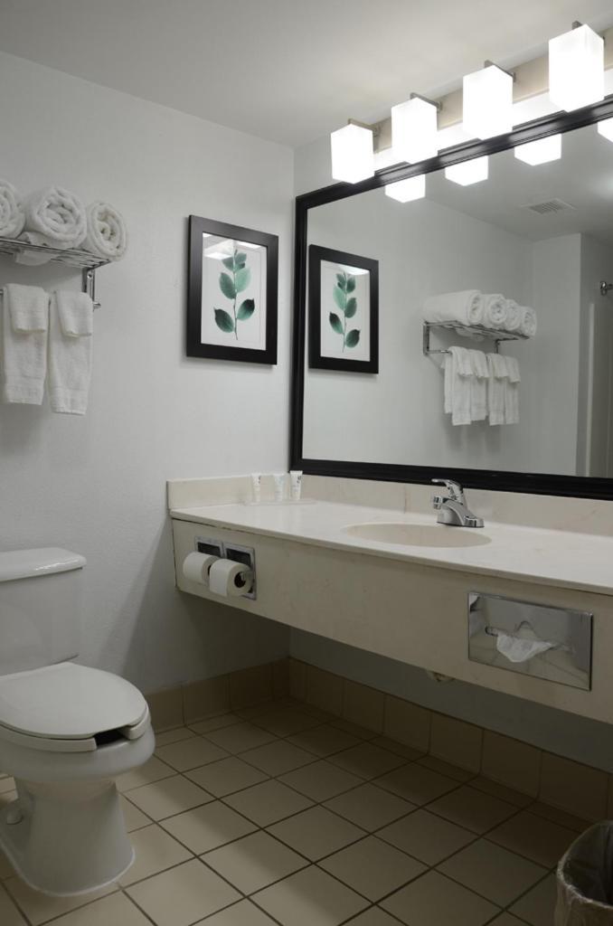 Country Inn & Suites By Radisson, Jacksonville, Fl Bagian luar foto
