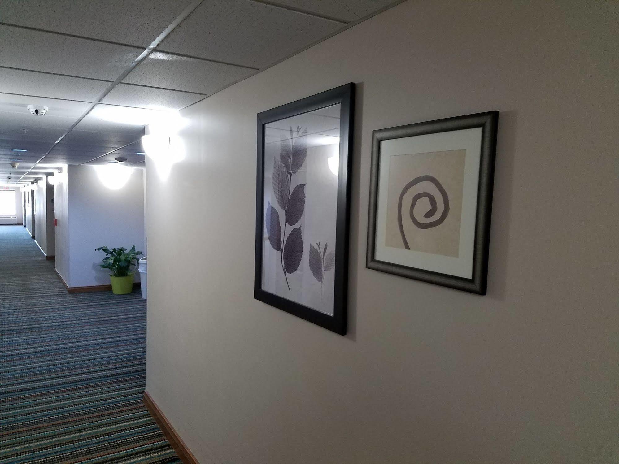 Country Inn & Suites By Radisson, Jacksonville, Fl Bagian luar foto